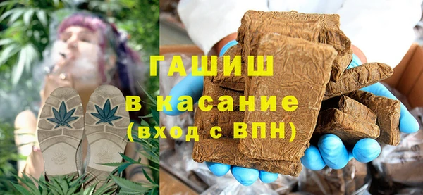 индика Кулебаки