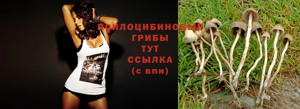 экстази Баксан