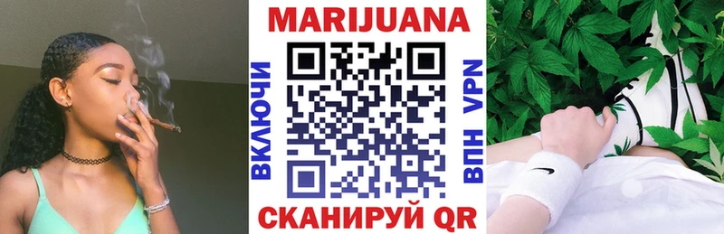 ссылка на мегу ссылки  что такое наркотик  Курчалой  мориарти какой сайт  Шишки марихуана OG Kush 