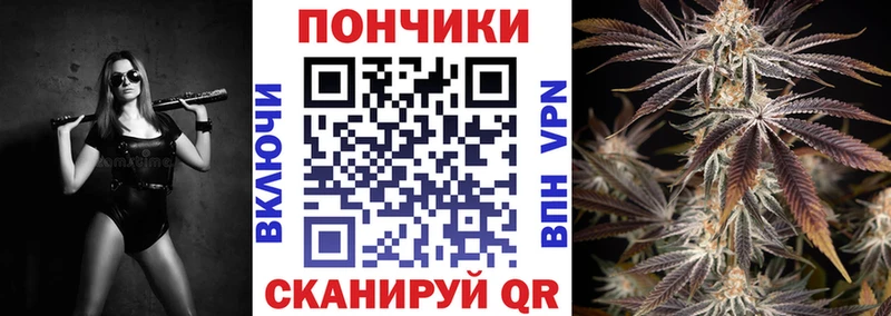Бошки Шишки SATIVA & INDICA Курчалой